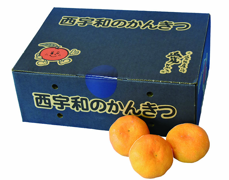 太平洋のみかん ジェイエイフーズおおいた つぶらなミカン 190g| コープこうべネット