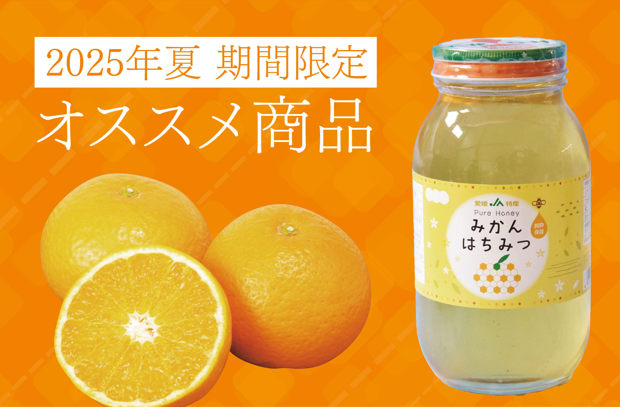 078みかんページ 期間限定｜みかんの花嫁 《HFM-05A》｜公式ホシフルーツ通販