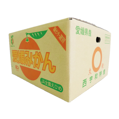 No.3 極早生みかん 約10kg（L~S）