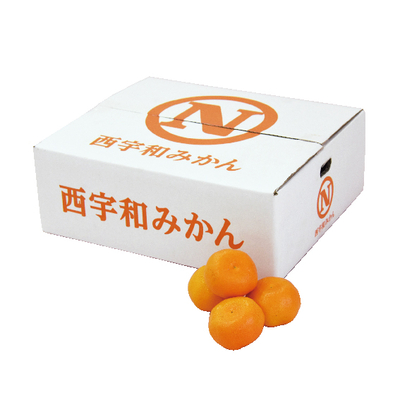 No.10 西宇和 温州みかん（贈答用） 約5kg（L~S）