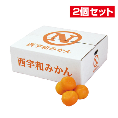 No.11 【2個セット】西宇和 温州みかん（贈答用） 約5kg（L~S）