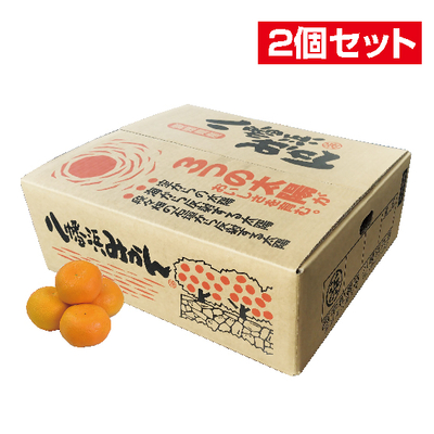No.14 【2個セット】西宇和 温州みかん（家庭用） 約5kg（L~S）