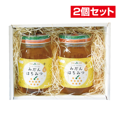 No.63 【2個セット】JA西宇和みかん蜂蜜 600g&times;2本