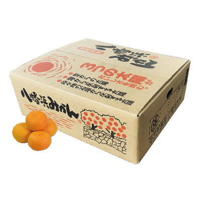 No.13 西宇和 温州みかん（家庭用） 約5kg（L~S）