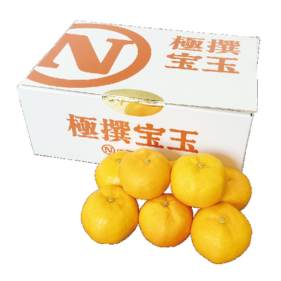 No.16 西宇和 特秀みかん極撰宝玉 約3kg（L）