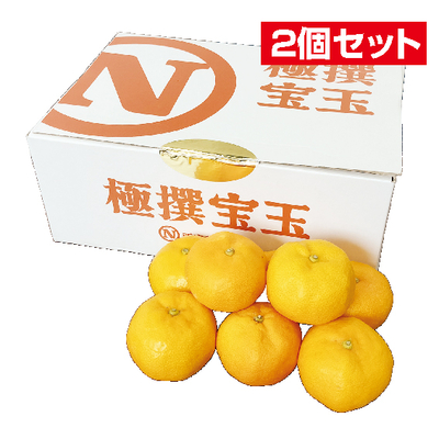 No.17 西宇和 特秀みかん極撰宝玉 約3kg（L）【2個セット】 | ふるさと