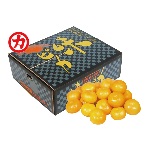 No.22 川上共選 特秀みかん味ピカ 約5kg（L~S） | ふるさと旬感便