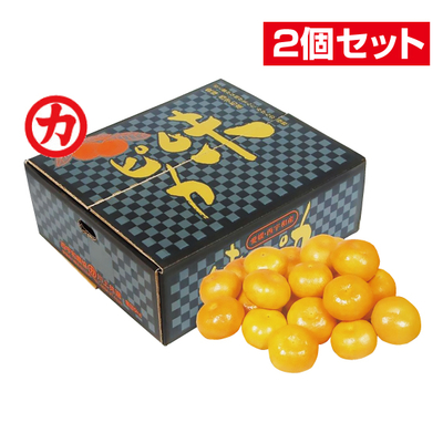 No.23 川上共選 特秀みかん味ピカ 約5kg（L~S）【2個セット】