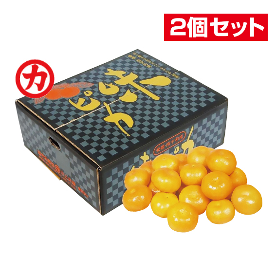 No.23 川上共選 特秀みかん味ピカ 約5kg（L~S）【2個セット