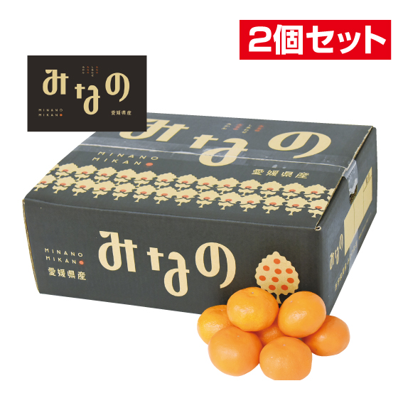 No.25 みなの共選 特秀みかんみなの 約5kg（L~S）【2個セット