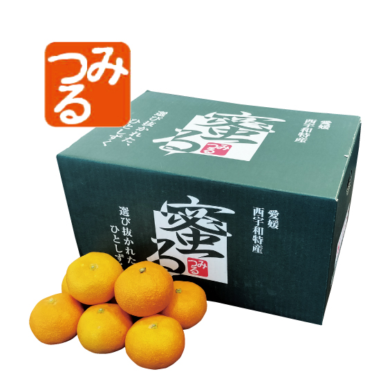 がんばるくん出品 No.26 みつる共選 特秀みかん蜜る 約4kg（L~S） | ふるさと旬感便