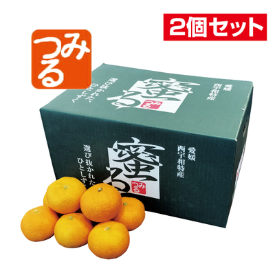 No.27 みつる共選 特秀みかん蜜る 約4kg（L~S）【2個セット