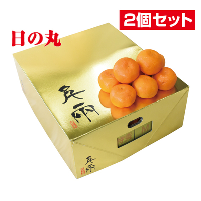No.31 日の丸共選 特秀みかん日の丸ゴールド 約5kg（L~S）【2個セット】