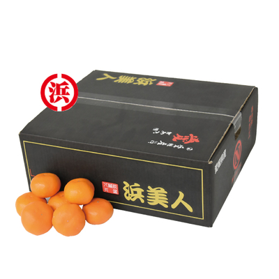 No.40 八幡浜共選 浜美人秀品 約5kg（L~S）