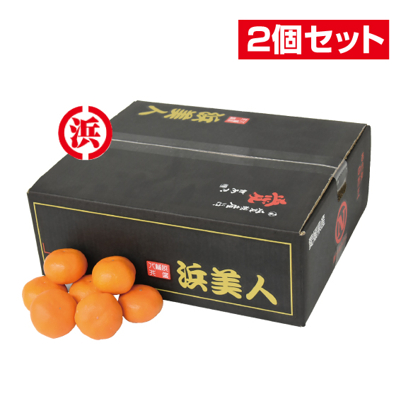 No.41 八幡浜共選 浜美人秀品 約5kg（L~S）【2個セット】 | ふるさと旬感便