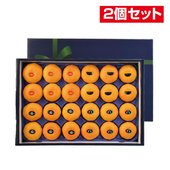 世慣れた見張り、デルニー2枚＋太陽の執事長、インティ4枚 計6枚セット