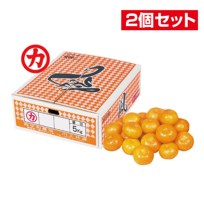 No.51 川上共選 風（家庭用） 約5kg（L~S）【2個セット】
