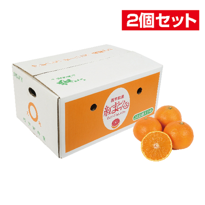 No.60 紅まどんな良品（家庭用） 約5kg（4L~L）【2個セット】