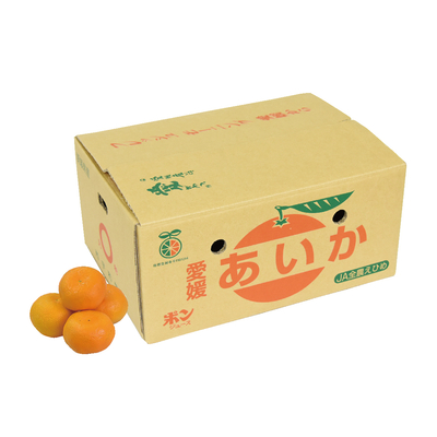 No.61 あいか（愛媛果試第28号）（家庭用）約5kg（4L~L）