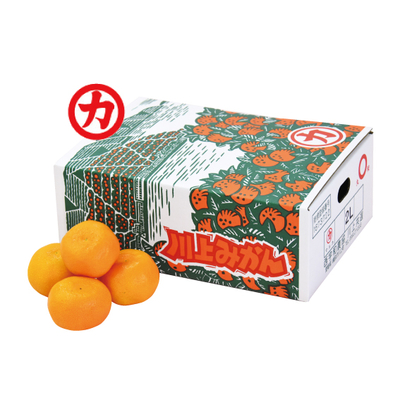 WEB限定ふるさと旬感便 | ふるさと旬感便