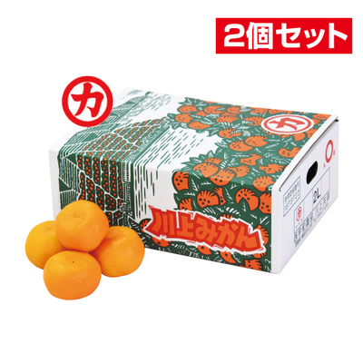 WEB限定ふるさと旬感便 | ふるさと旬感便