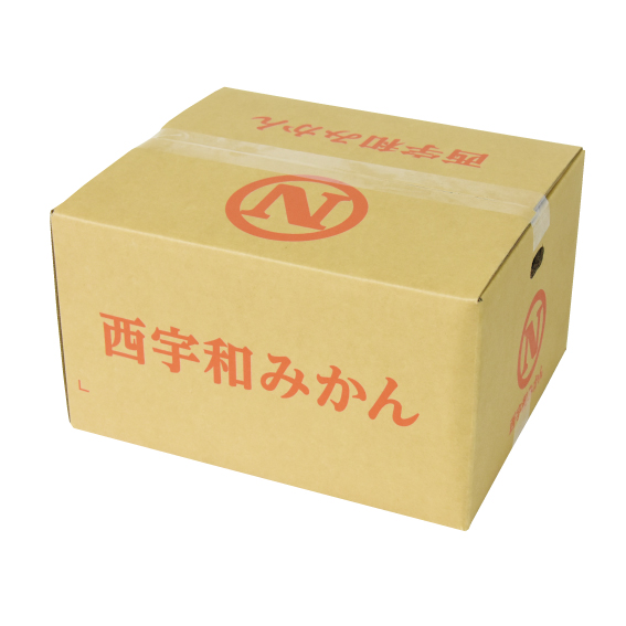 No.15 西宇和 温州みかん（家庭用） 約10kg（L~S） | ふるさと旬感便