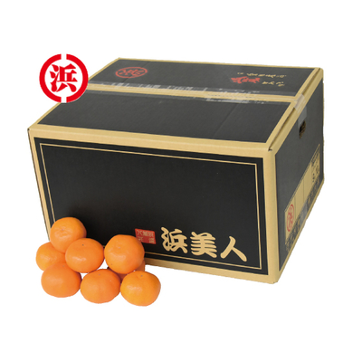 No.42 八幡浜共選 浜美人秀品 約10kg（L~S）