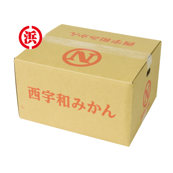 No.44 八幡浜共選 八幡浜みかん良品 約10kg（L~S） | ふるさと旬感便