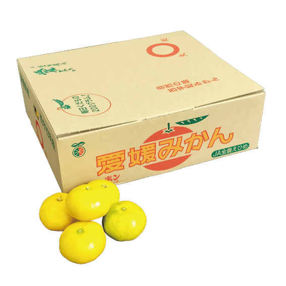 Qoo10] みかん 極早生 愛媛みかん 箱込5kg 愛媛県産 極早生 みかん 5キロ サイズはsからL