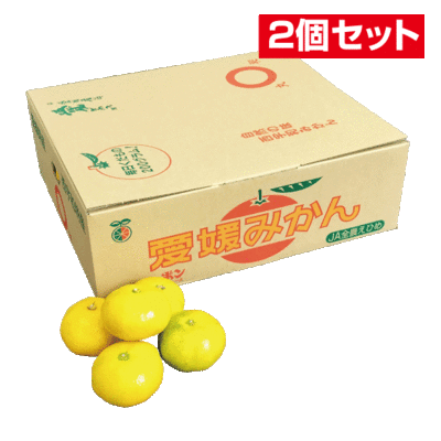 No.2 極早生みかん 約5kg（L~S）【2個セット】