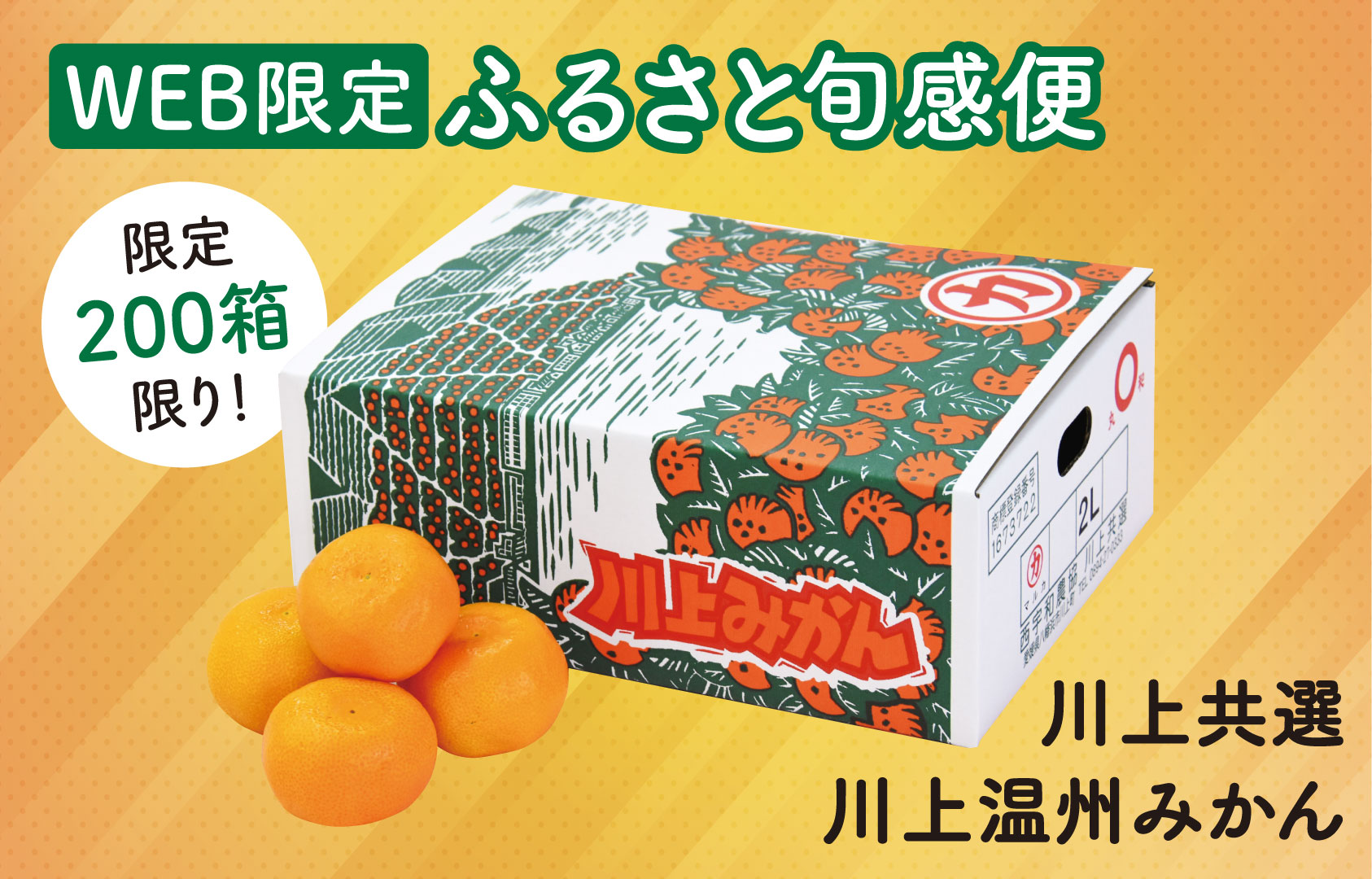 ふるさと旬感便