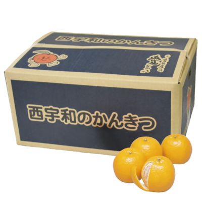 No.4 西宇和ポンカン 約5kg（2L~L）