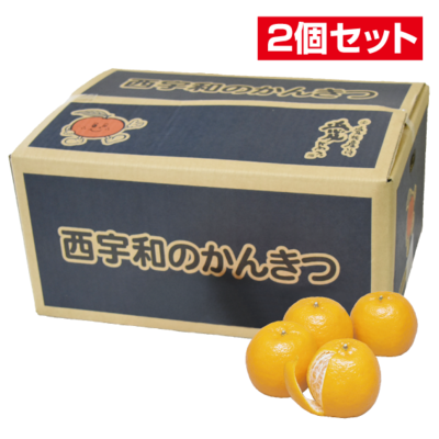 No.5 西宇和ポンカン 約5kg（2L~L）【2個セット】
