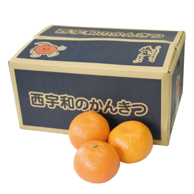 No.7 西宇和 宮内いよかん 約5kg(3L~L)