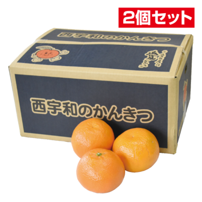 No.8 西宇和 宮内いよかん 約5kg(3L~L)【2個セット】