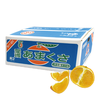 No.10 三崎共選 天草 約5kg(L~M)