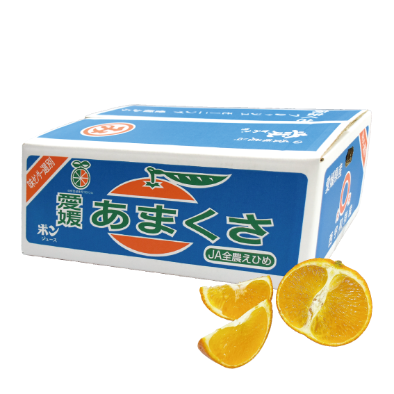 No.10 三崎共選 天草 約5kg(L~M) | ふるさと旬感便