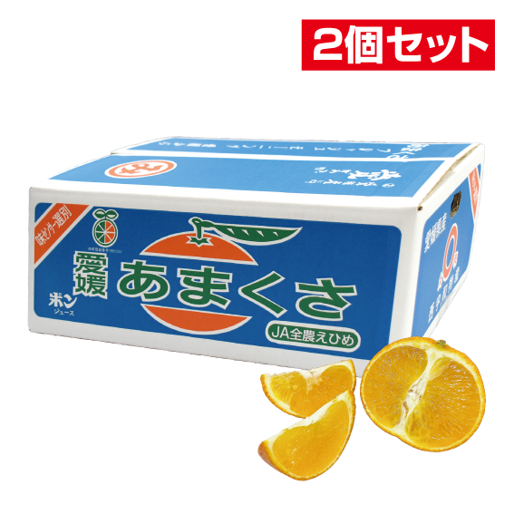 No.11 三崎共選 天草 約5kg(L~M)【2個セット】 | ふるさと旬感便