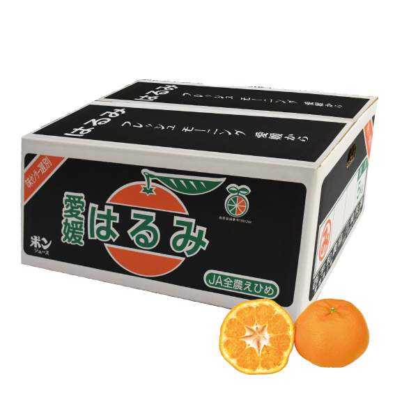 No.12 三崎共選 はるみ 約5kg(2L~L) | ふるさと旬感便