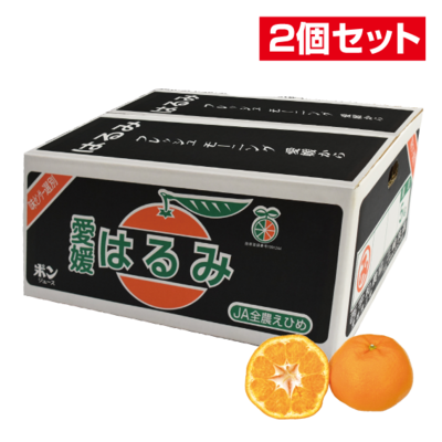 No.13 三崎共選 はるみ 約5kg(2L~L)【2個セット】