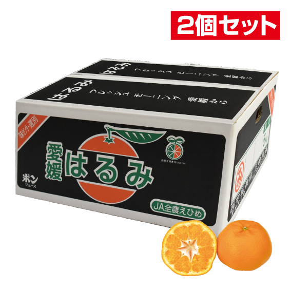 No.13 三崎共選 はるみ 約5kg(2L~L)【2個セット】 | ふるさと旬感便