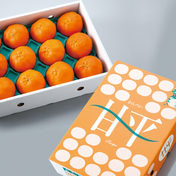 【ミキ】大玉甘平6Kg＊２箱 【２箱括りでの発送】 2月発送【濃厚な極あま】「甘平」2キロ ご家庭用：愛媛県産のみかん