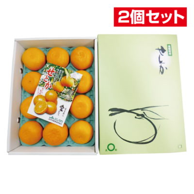 ふるさと旬感便