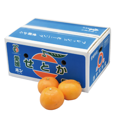No.20 せとか（施設）良品（お買得）約5kg（3L~L）