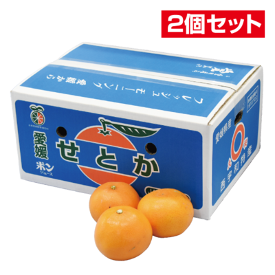 No.21 せとか（施設）良品（お買得）約5kg（3L~L）【2個セット】