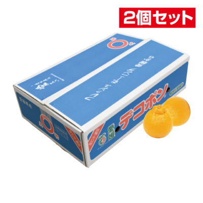 No.27 デコポン 約5kg（3L~L）【2個セット】