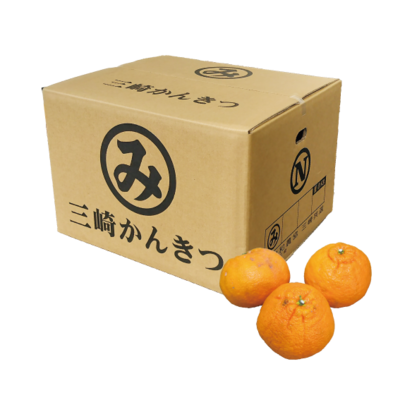 No.45 三崎共選訳あり！不知火家庭用 約10kg(サイズ混合)（WEB限定）