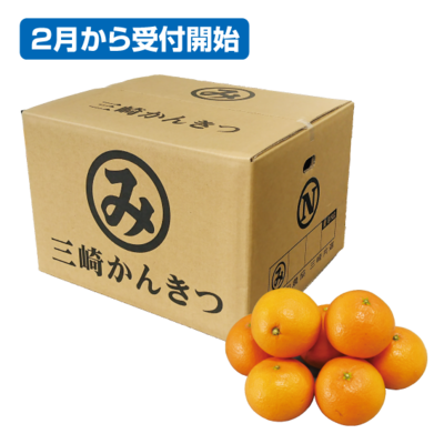 No.46 三崎共選訳あり！清見タンゴール家庭用 約10kg(サイズ混合)（WEB限定）