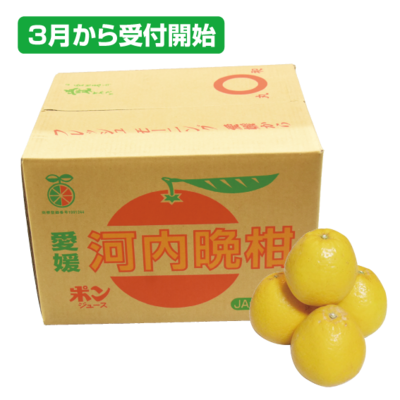 No.35 河内晩柑　約7.5kg（3L~L）