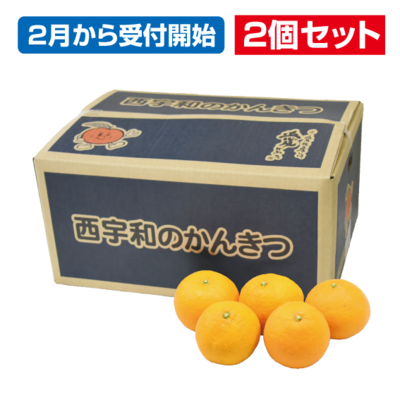 No.33 清見タンゴール　約5kg（3L~L）【2個セット】
